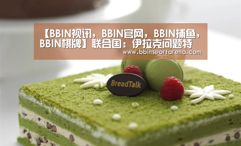 【BBIN视讯,BBIN官网,BBIN捕鱼,BBIN棋牌】联合国:伊拉克问题特别代表梅尔克特遇袭但幸免于难(图2) BBIN视讯,BBIN官网,BBIN捕鱼,BBIN棋牌